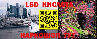 мдма Камышлов