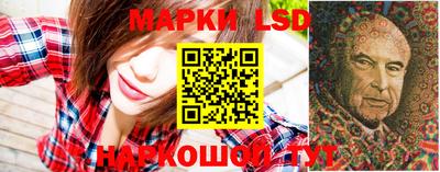 мдма Камышлов
