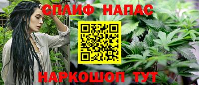 крисы Кандалакша