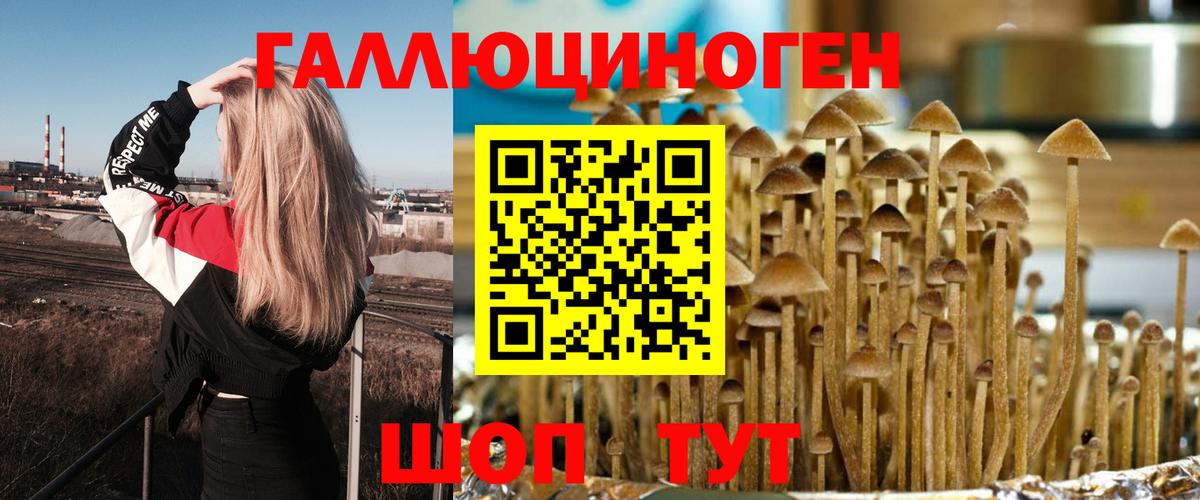 Псилоцибиновые грибы ЛСД Прокопьевск