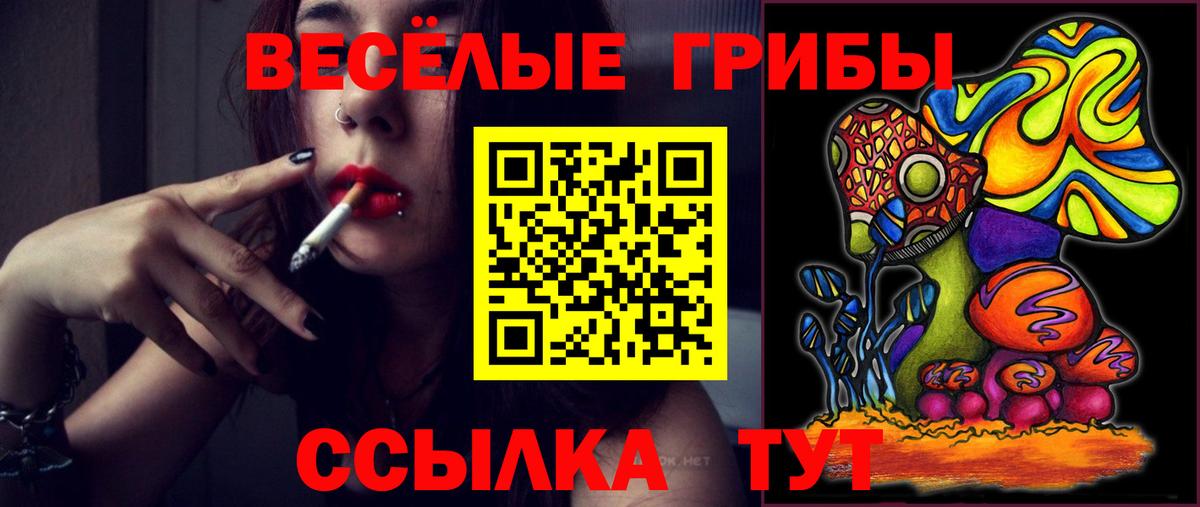Псилоцибиновые грибы Cubensis  Вход с VPN  Прокопьевск 